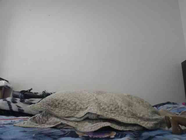 prince1 webcam