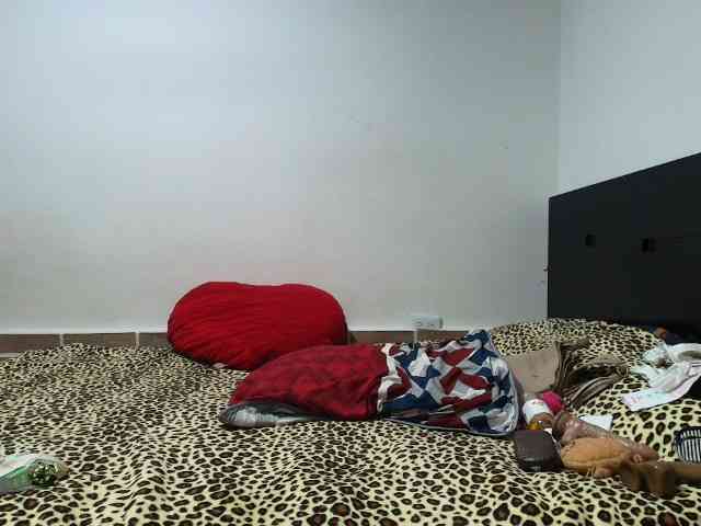 prince1 webcam