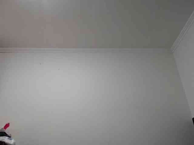 prince1 webcam