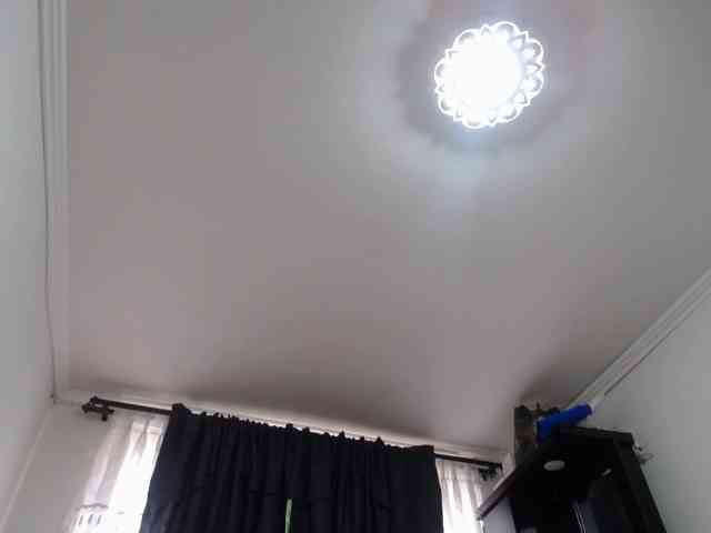 prince1 webcam