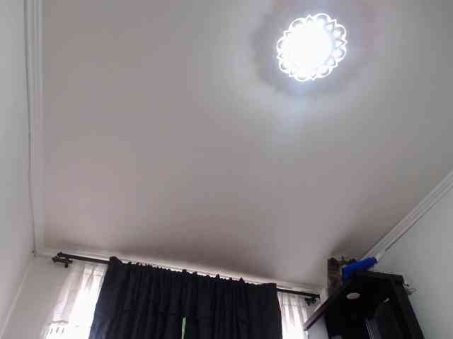 prince1 webcam