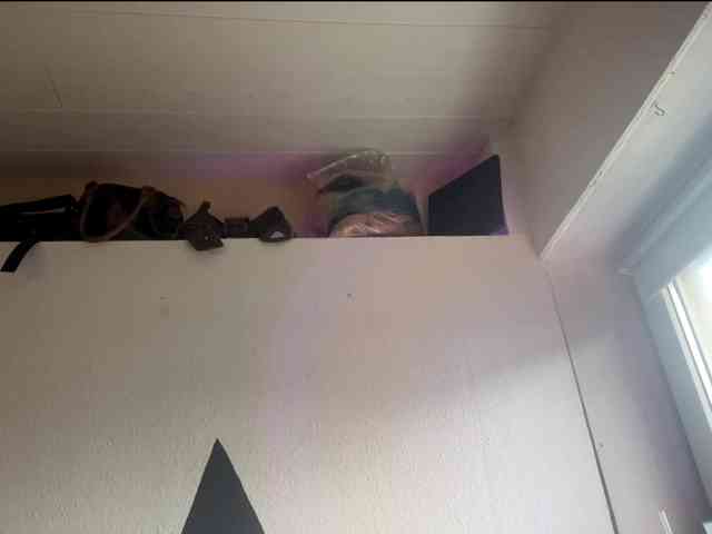 HanaMayoka webcam
