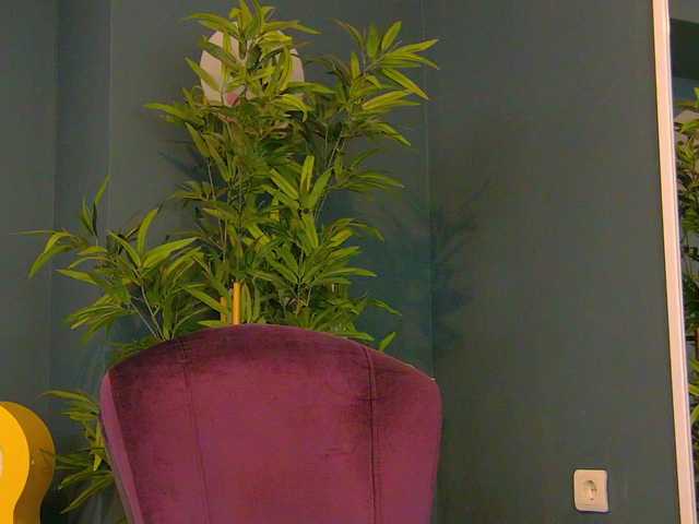 Tiny-Tease live cam on BongaCams
