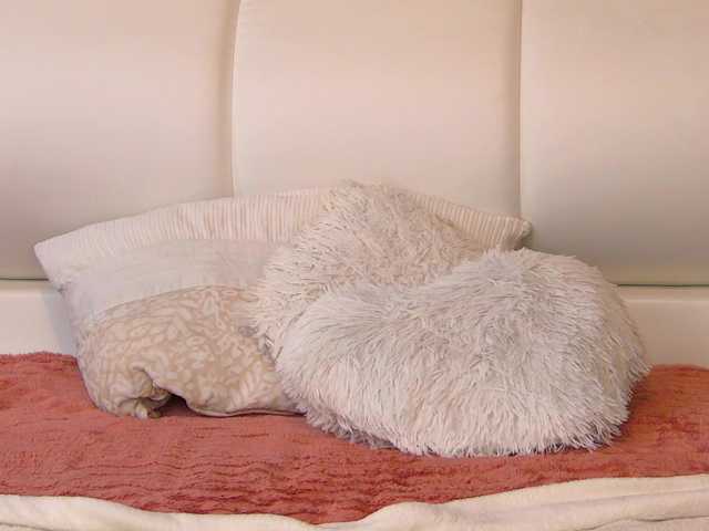 Tiny-Tease live cam on BongaCams