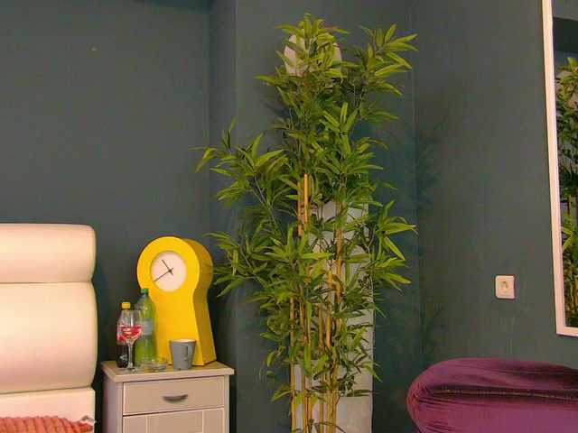Tiny-Tease live cam on BongaCams