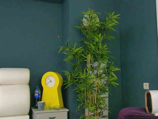 Tiny-Tease Tiny-Tease