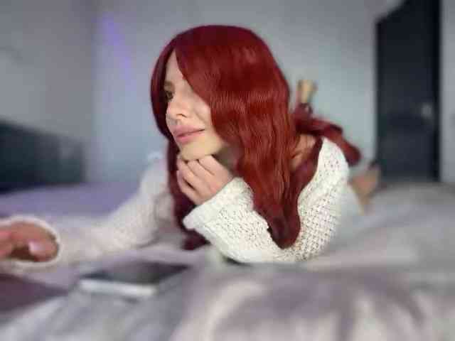 Ariel_Fire webcam
