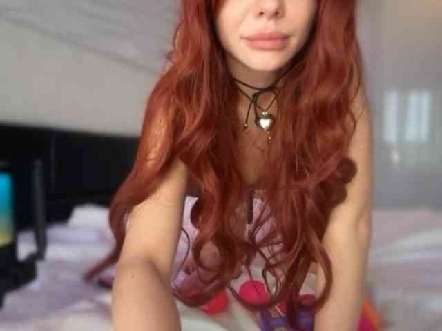Ariel_Fire webcam