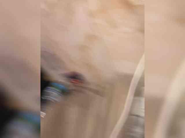 Alia666BFD webcam
