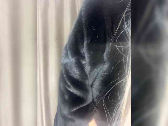 Alia666BFD Live Webcam on BongaCams