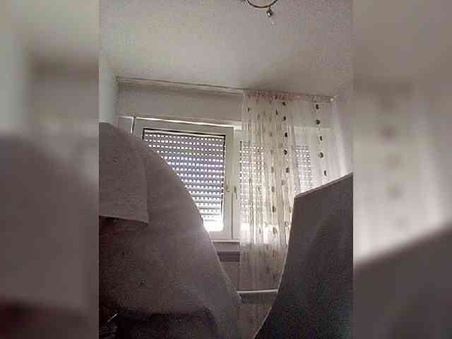 -COVID-19- webcam