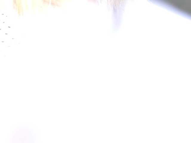 heysianna live webcam show