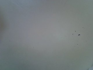 Velvet-luxe's Live Webcam