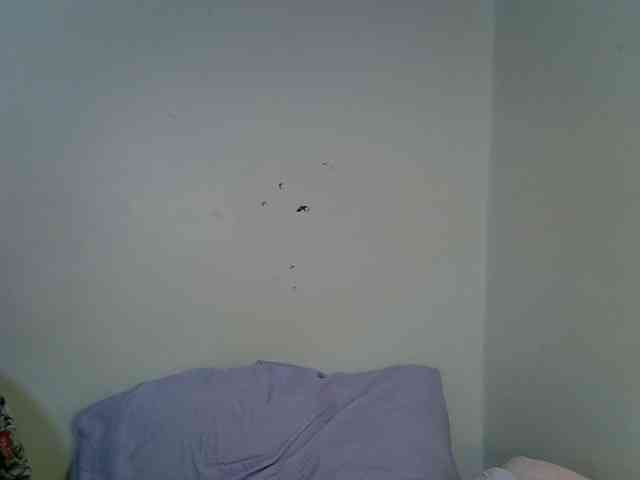 Velvet-luxe webcam