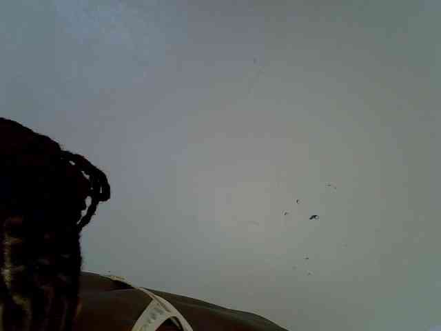Velvet-luxe webcam