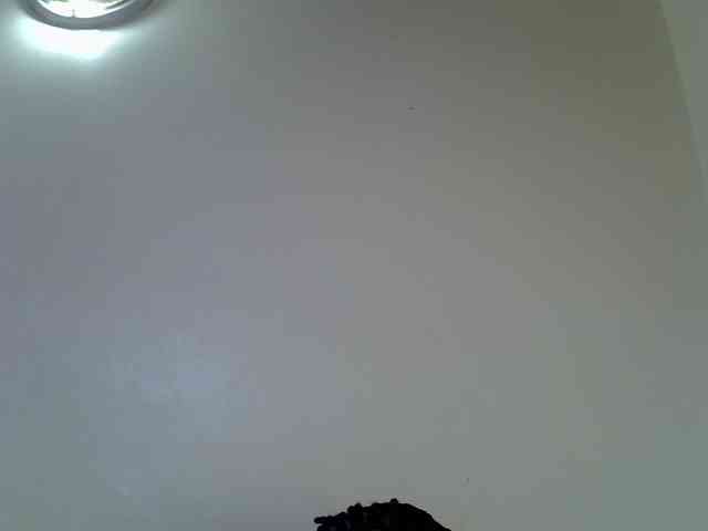 Velvet-luxe webcam