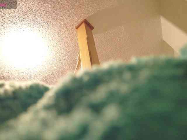 Liamonroex2 webcam