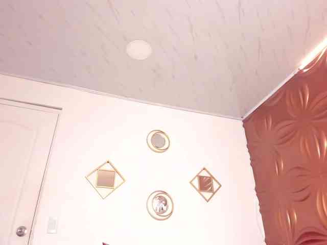 Zyrablaze webcam