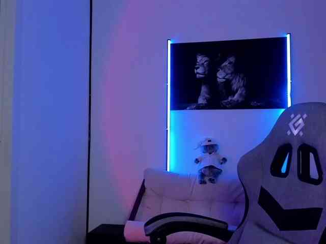 ANN- webcam