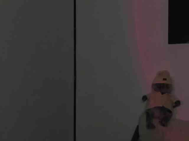X-ANNA webcam