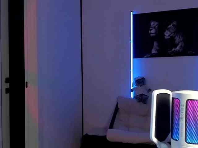 ANN- webcam
