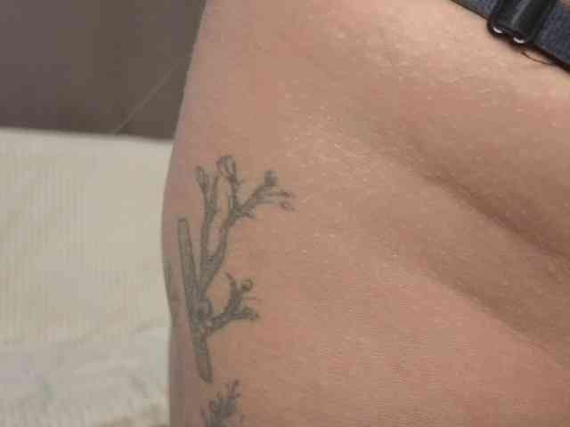 MeganFOXYYY webcam