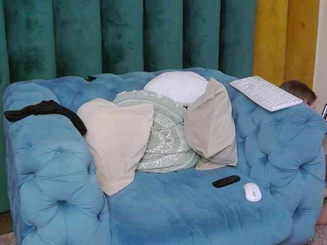 LeiaHux webcam