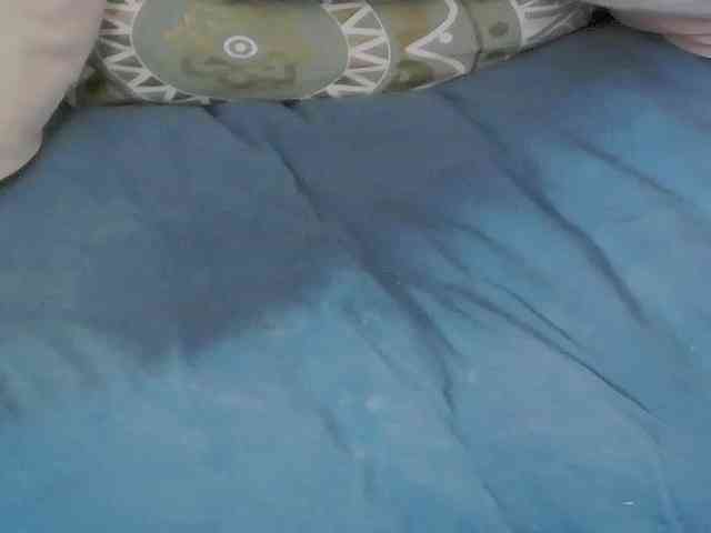 LeiaHux webcam