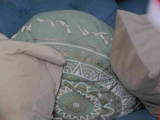 LeiaHux webcam