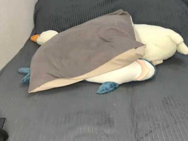 RaylenePedroni live cam on BongaCams