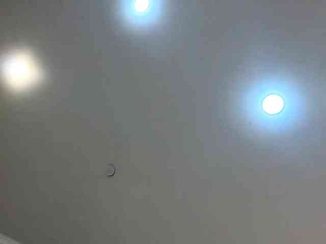 RaylenePedroni webcam