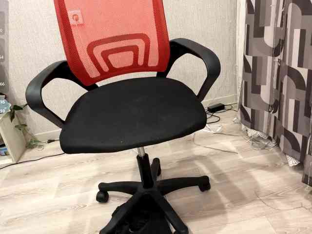RaylenePedroni webcam