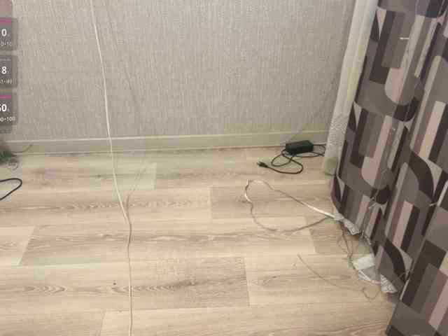 RaylenePedroni webcam