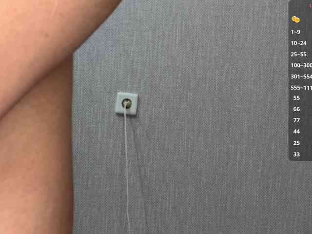 RaylenePedroni webcam