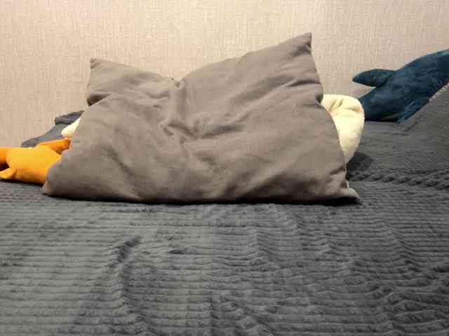 RaylenePedroni webcam