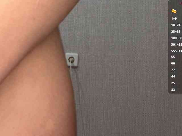 RaylenePedroni webcam