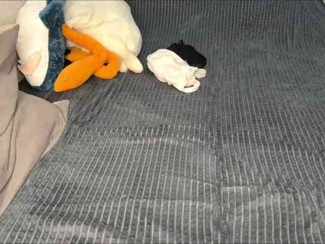 RaylenePedroni webcam