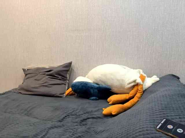 RaylenePedroni webcam