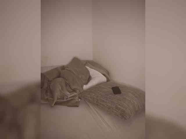 Lessa-voxx webcam