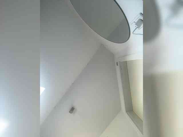 Lessa-voxx webcam