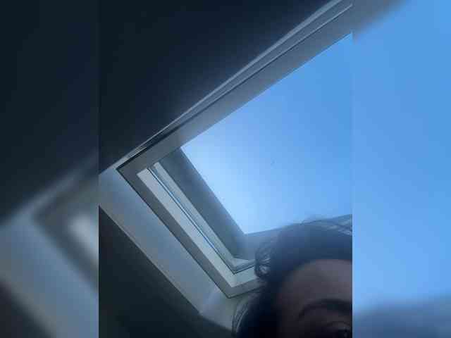 Lessa-voxx webcam