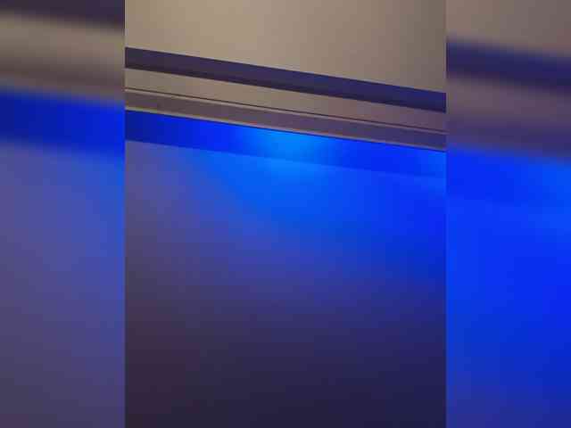 animelucho221's live room