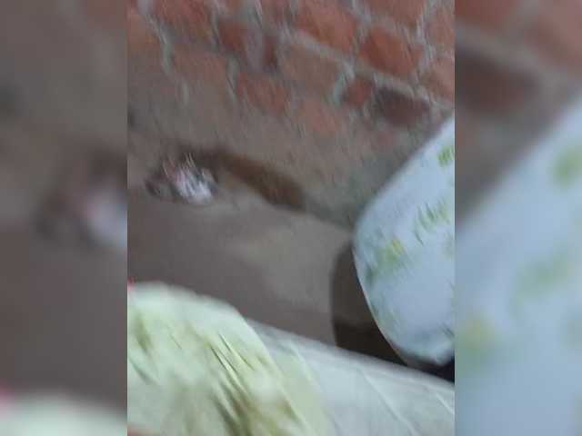 Sejo2