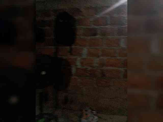 Sejo2 webcam