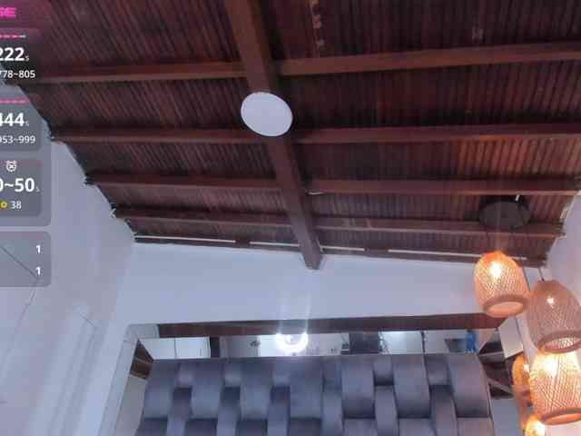alessa-wells webcam