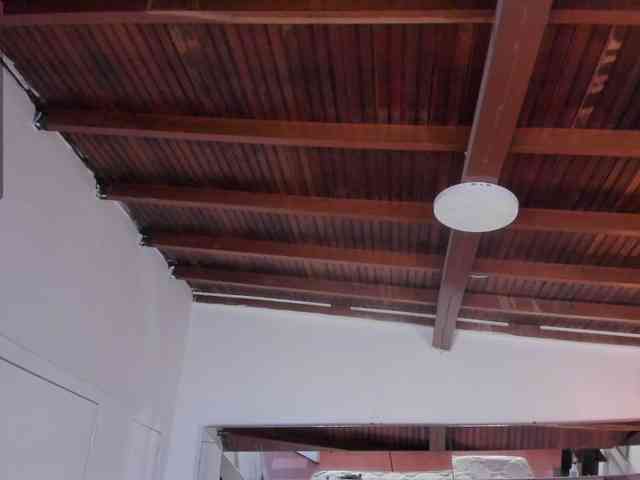 alessa-wells webcam