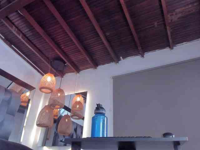 alessa-wells webcam
