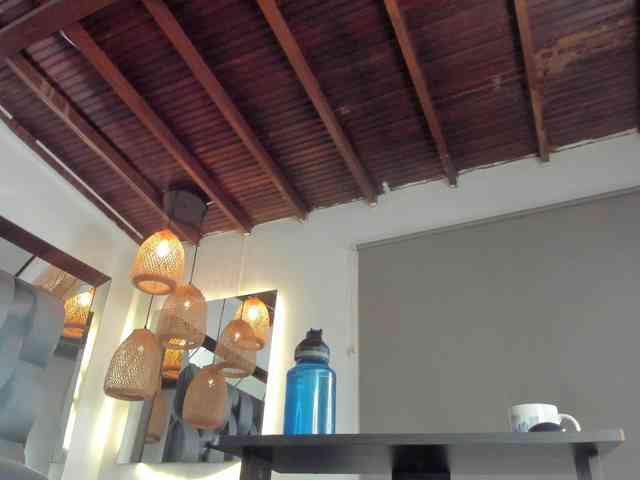 alessa-wells webcam