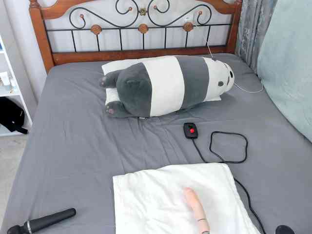 Syuri-sun webcam