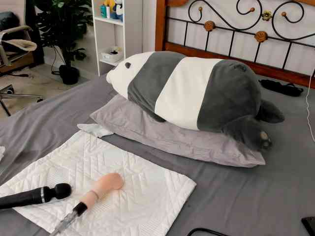 Syuri-sun webcam